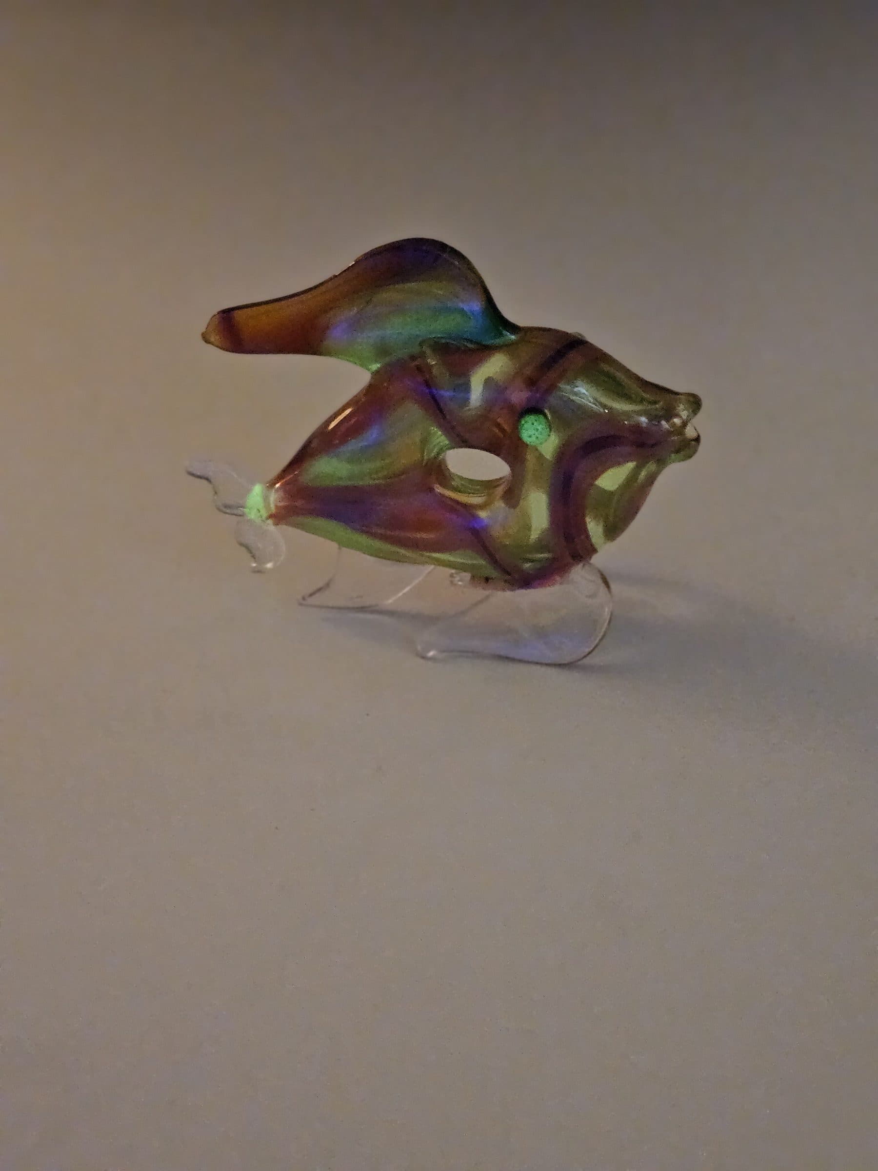 Blacklight fish, photo 5