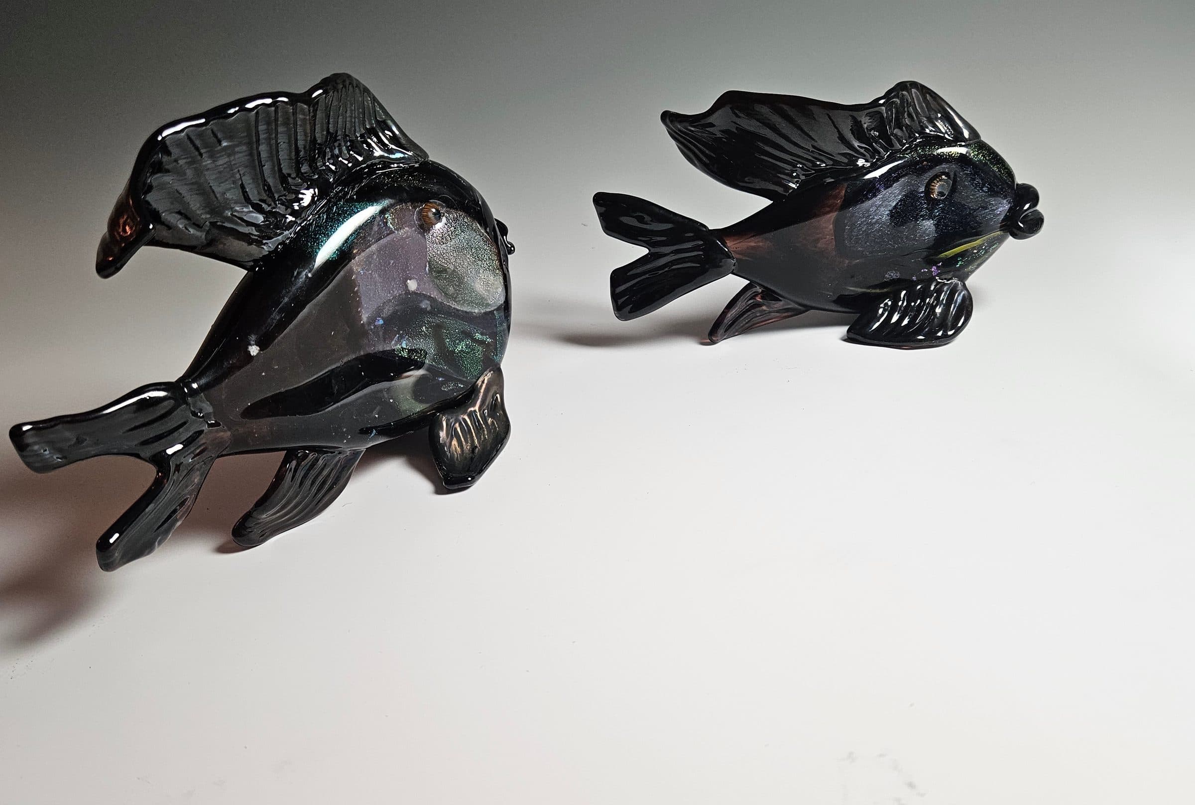 Dichro Fish, photo 3