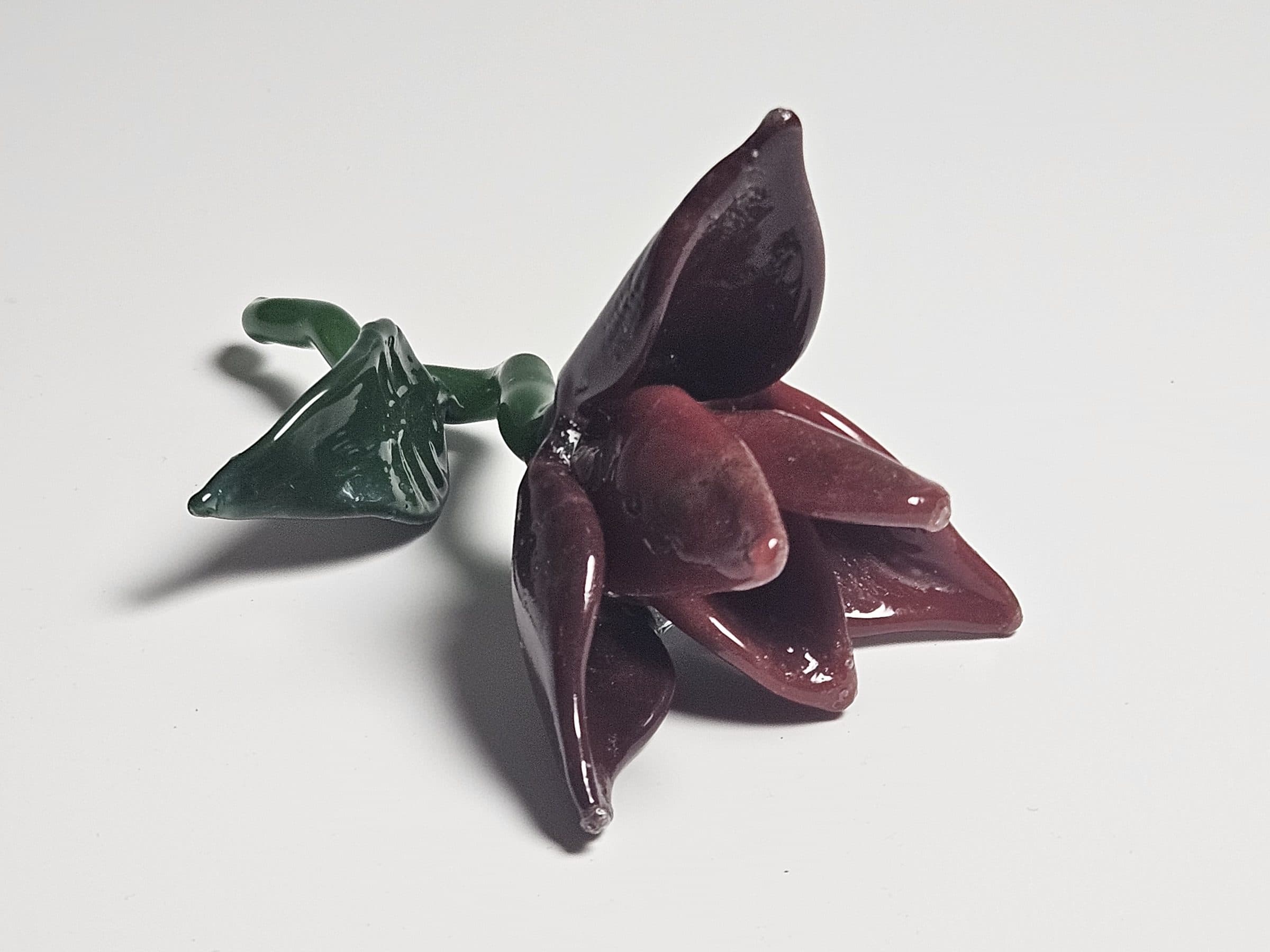 Flower, photo 1