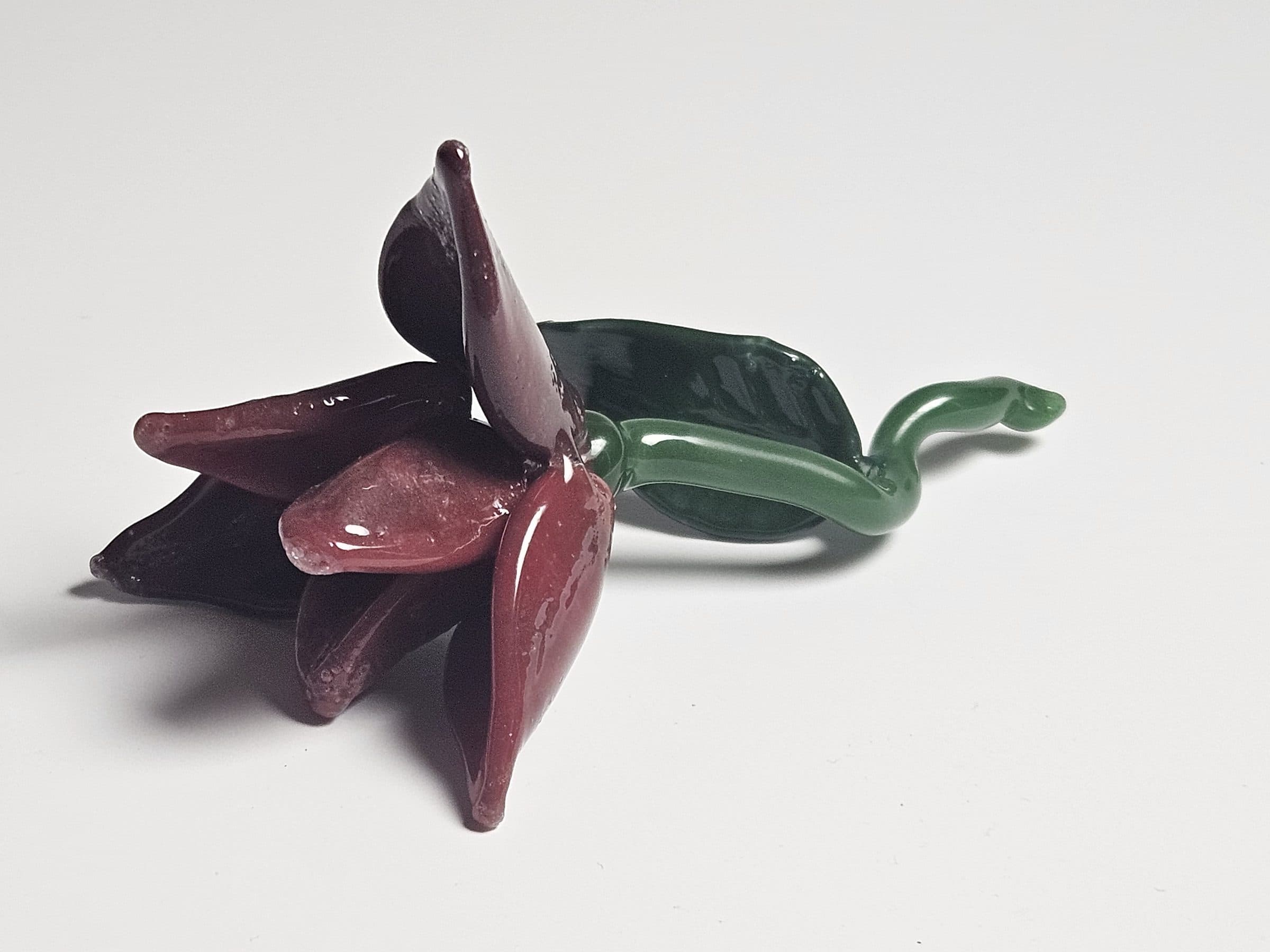 Flower, photo 2
