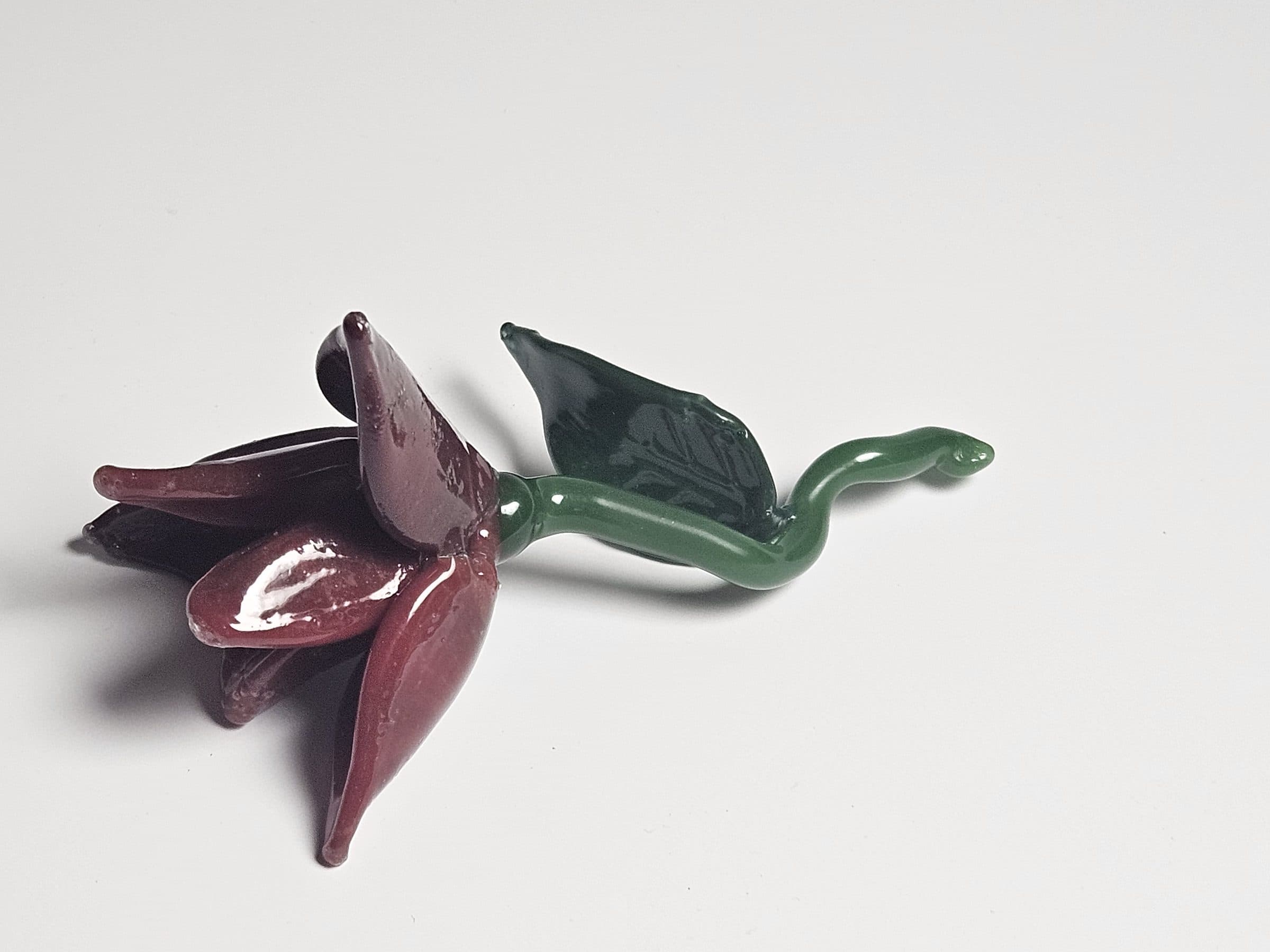 Flower, photo 3