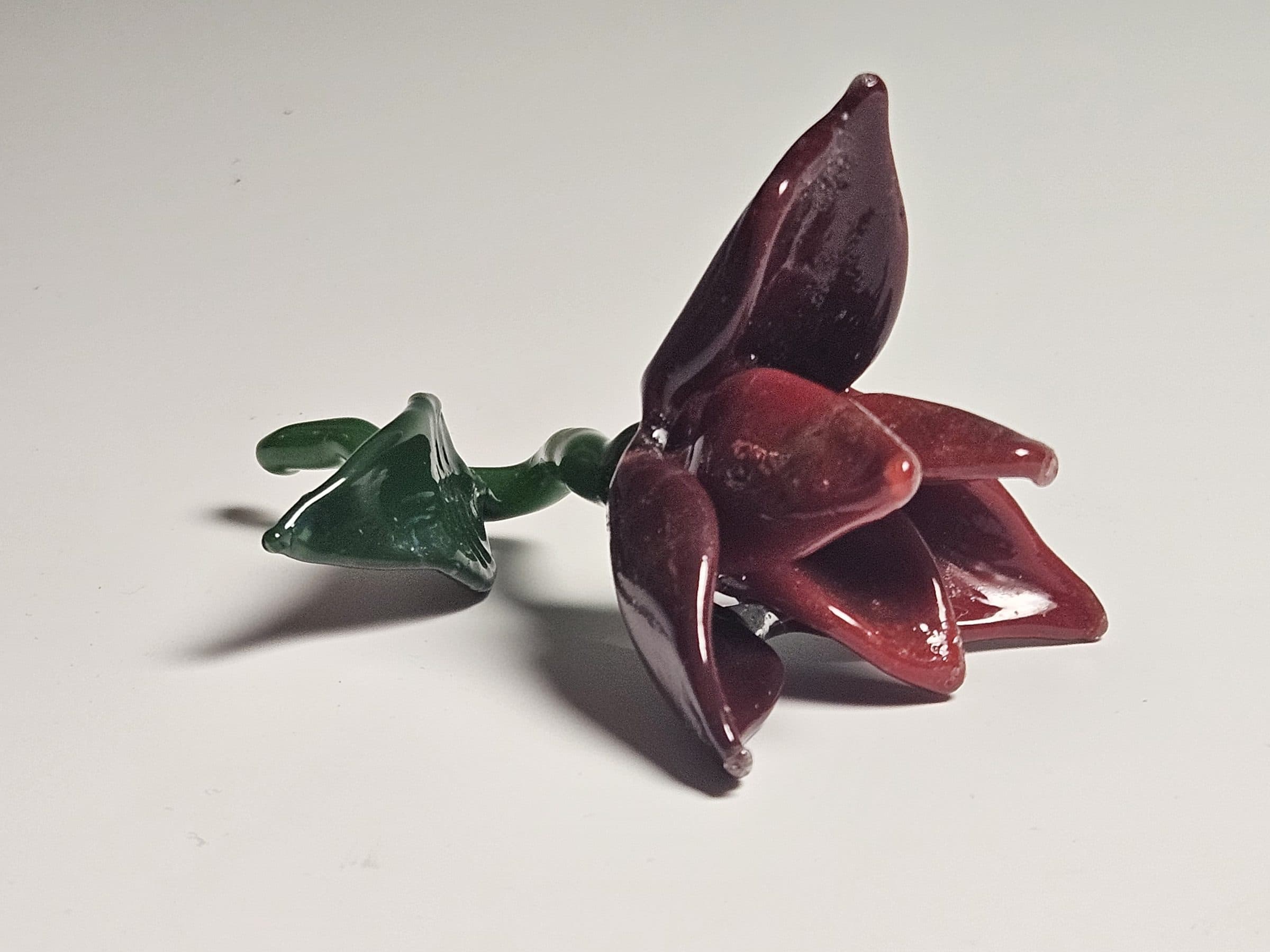 Flower, photo 4