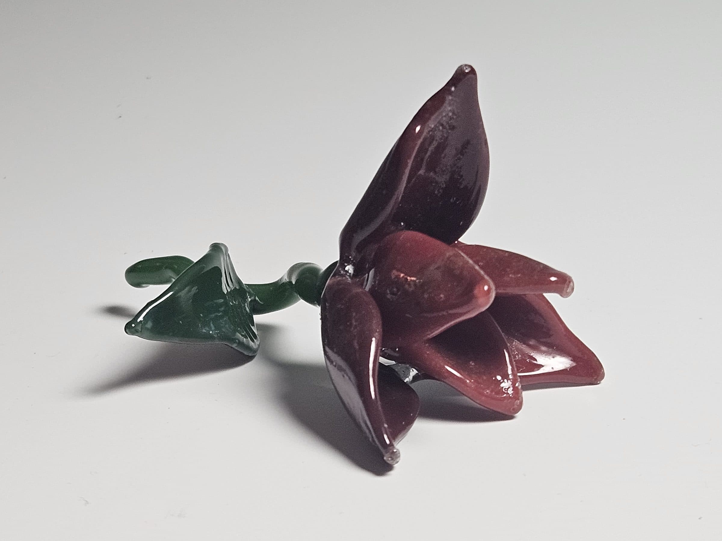 Flower, photo 5