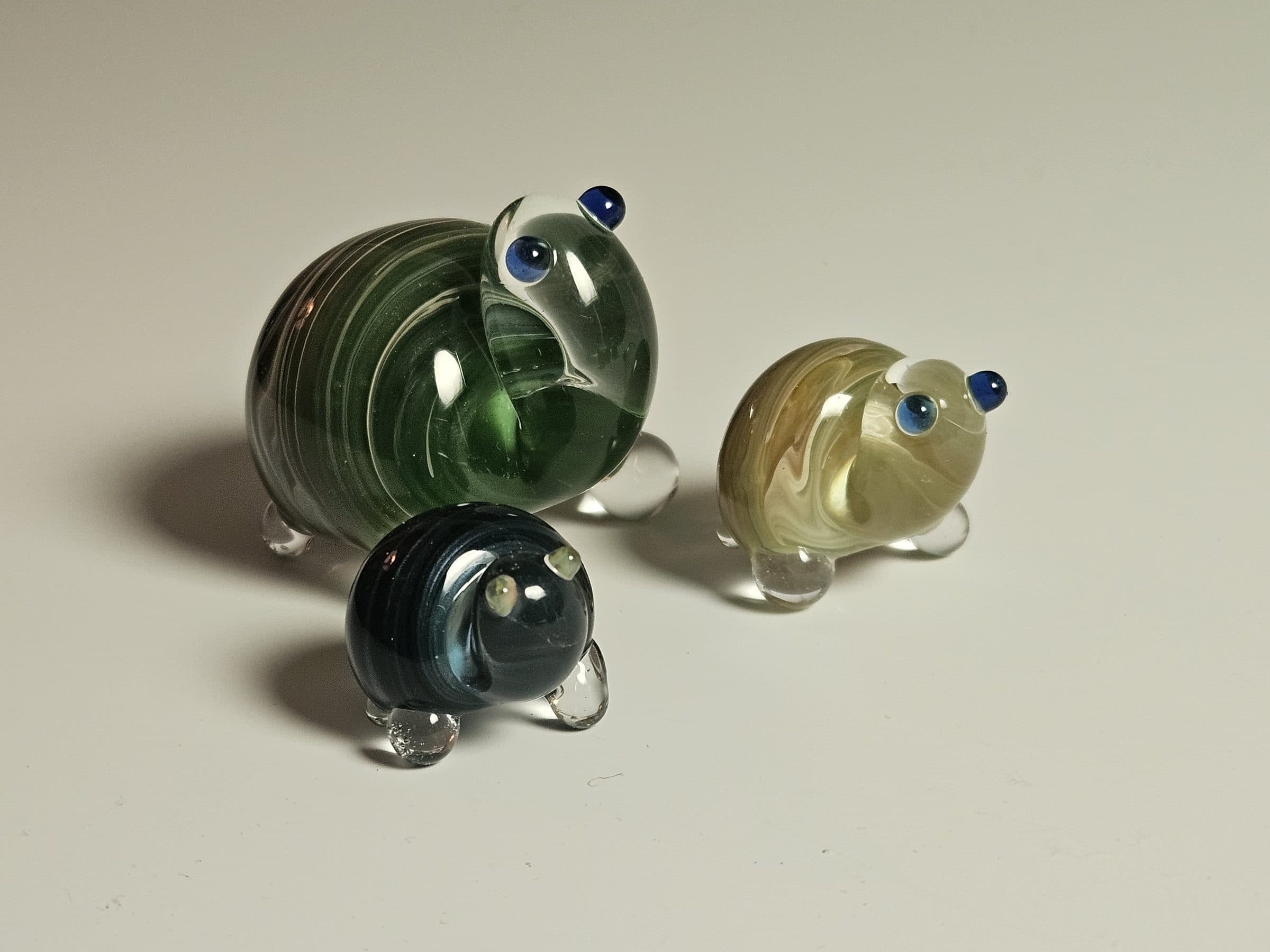 Snurtles, photo 12