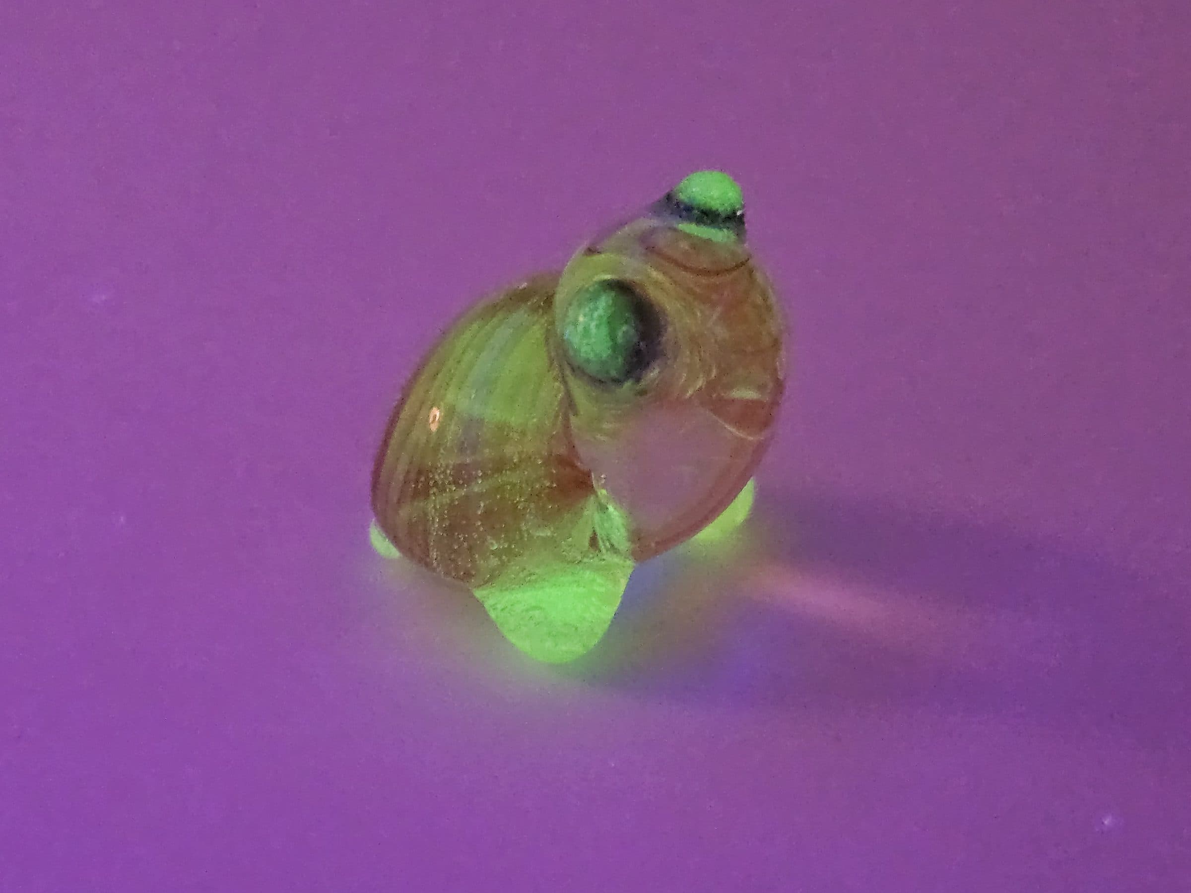Snurtles, photo 28